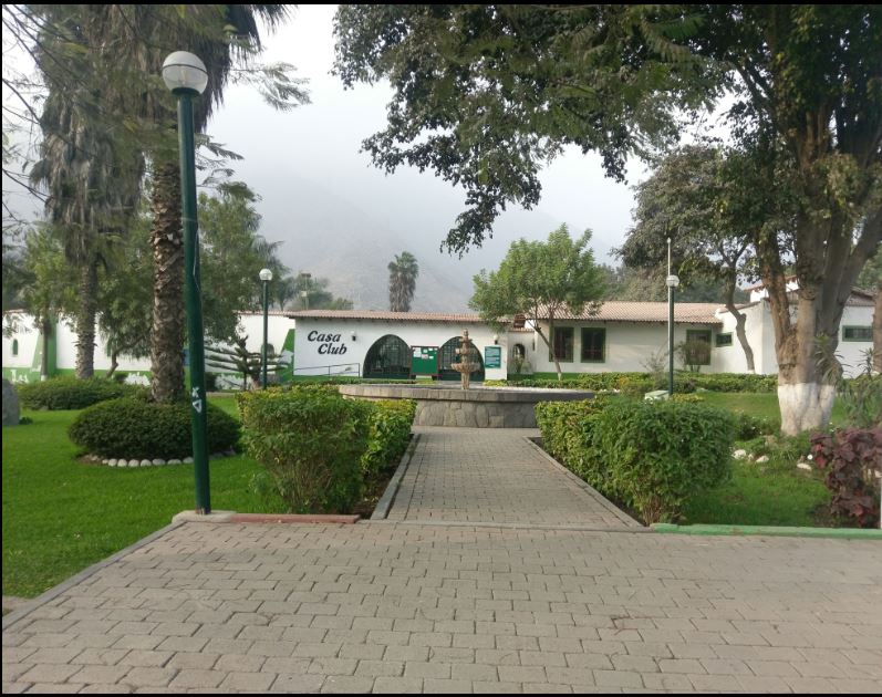 imagen2