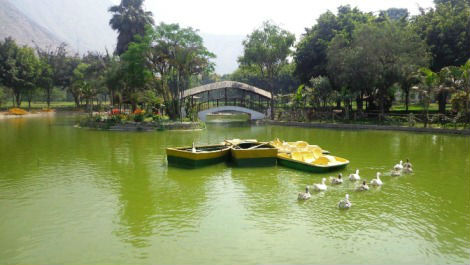 imagen4