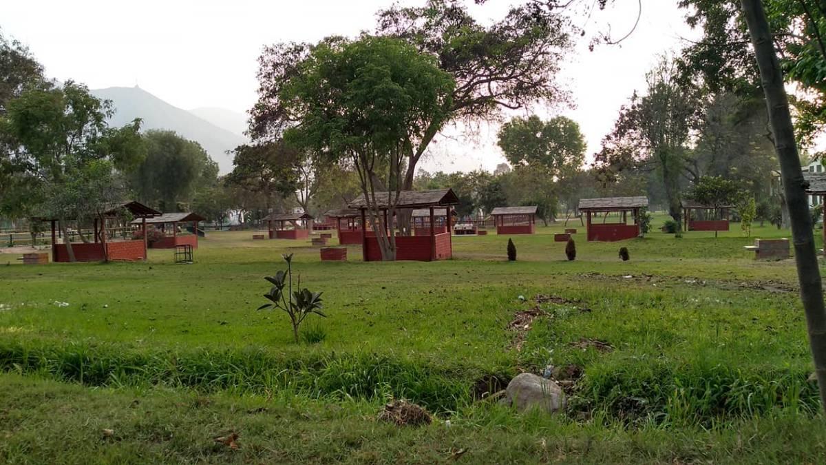 imagen5