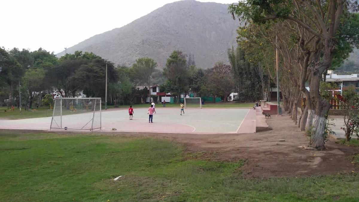 imagen6