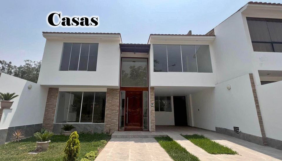 imagen1