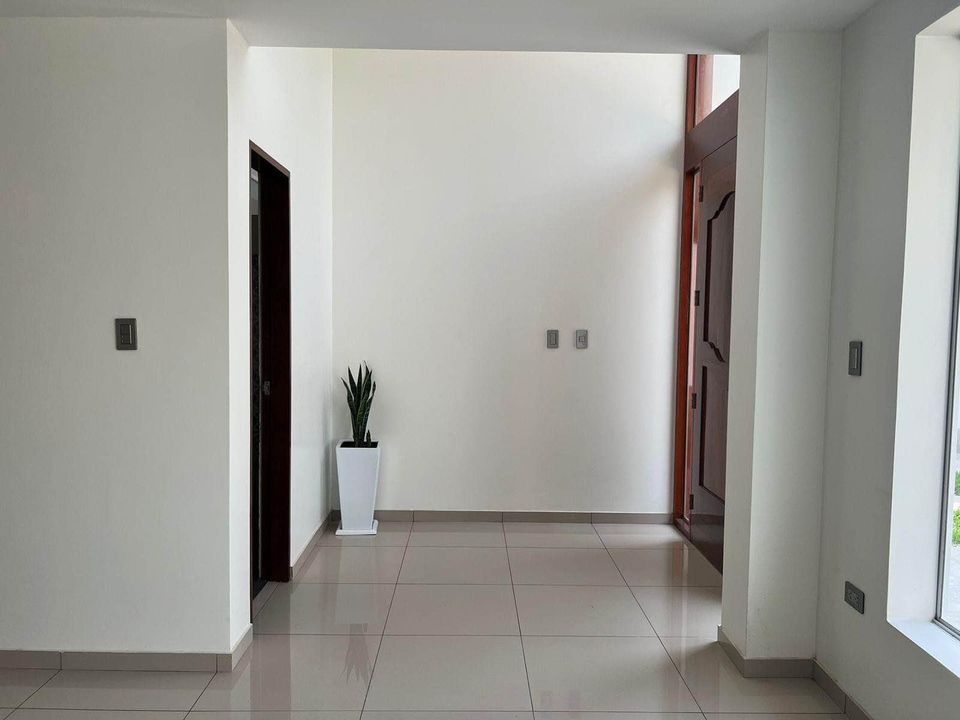 ambiente 5